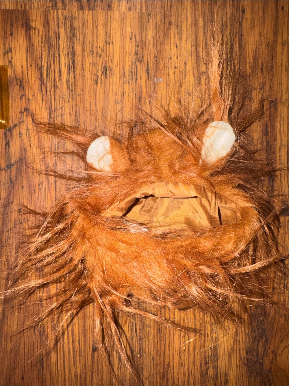 Halloween - Cat Lion Mane (s/m) 39.T